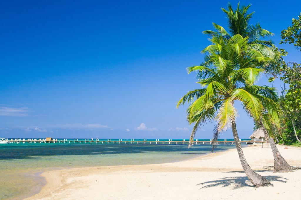 Sandy Bay Casa Gallina المظهر الخارجي الصورة